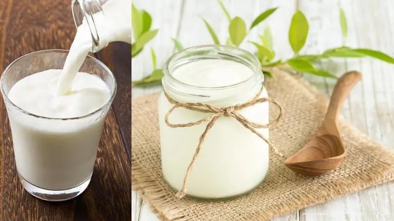 10 cách làm sữa chua (yaourt) ngon mềm, dẻo mịn tại nhà