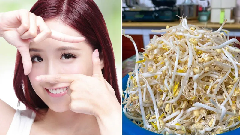 100g giá đỗ bao nhiêu calo? Ăn giá đỗ có béo (mập) không?