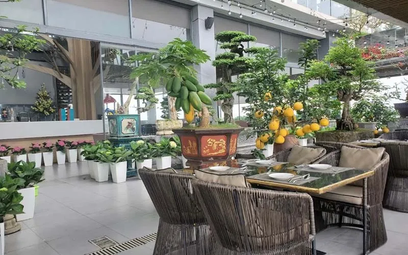 15 quán rooftop cafe Hà Nội giúp bạn ngắm nhìn vẻ đẹp có 1-0-2 của Thủ đô Hà Nội