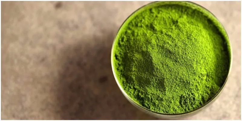 Bột matcha và bột trà xanh có phải là một? Cách dùng ra sao?