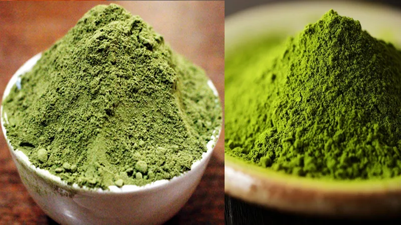 Bột matcha và bột trà xanh có phải là một? Cách dùng ra sao?