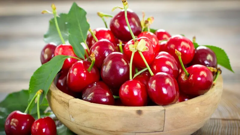 Các loại Cherry phổ biến trên thế giới được ưa chuộng nhất