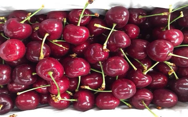 Các loại Cherry phổ biến trên thế giới được ưa chuộng nhất