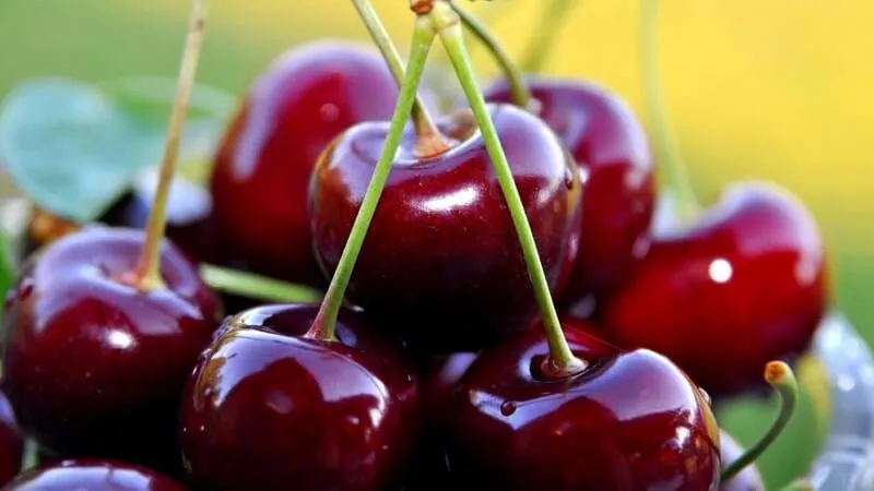 Các loại Cherry phổ biến trên thế giới được ưa chuộng nhất