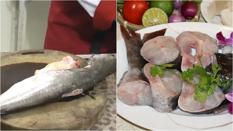 Cách làm cá lăng kho tộ đậm đà, thơm ngon, hấp dẫn tại nhà