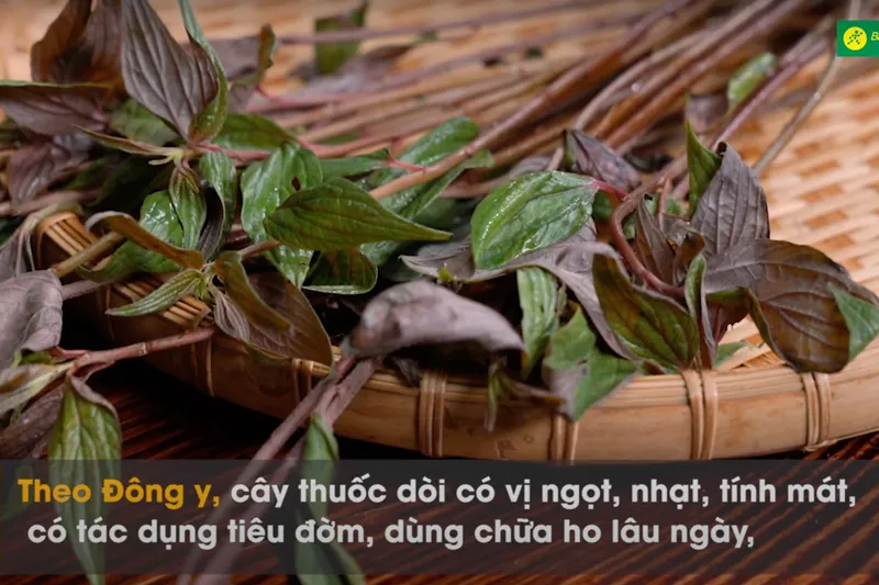 Cách nấu bó nước mát nhanh chóng, đơn giản, thơm ngon hơn nước sâm ngoài hàng