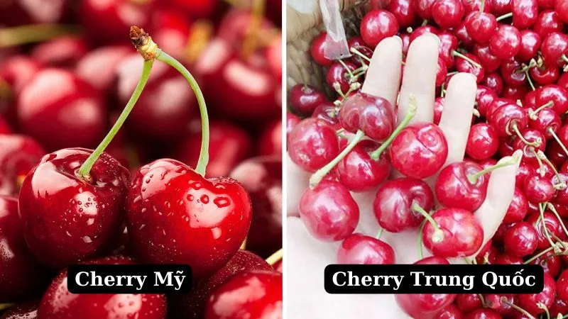 Cách phân biệt Cherry Mỹ và Cherry Trung Quốc chính xác nhất