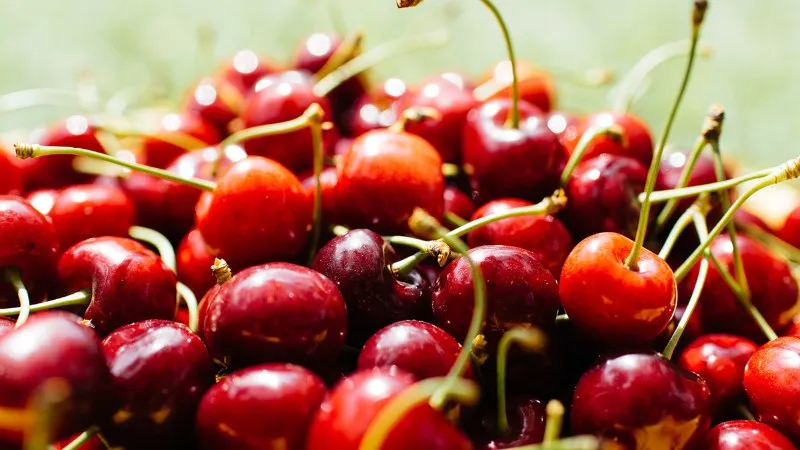 Cách phân biệt Cherry Mỹ và Cherry Trung Quốc chính xác nhất