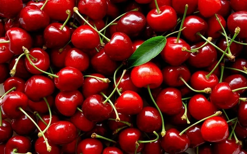 Cherry Trung Quốc: Đặc điểm, phân loại, giá Cherry Trung Quốc