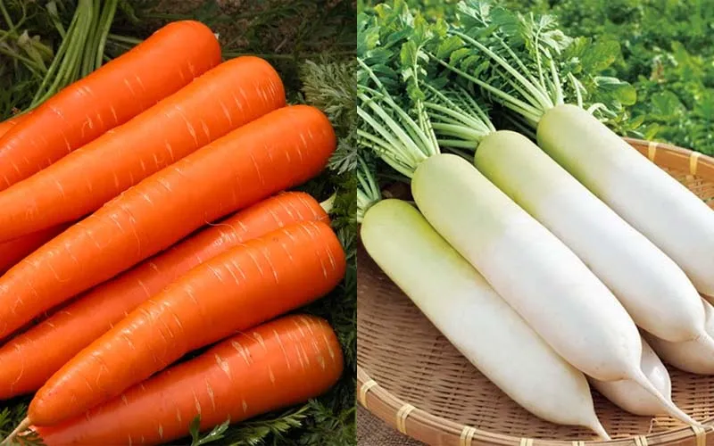 Củ cải trắng là gì? Tác dụng, lưu ý khi ăn, cách chọn củ cải