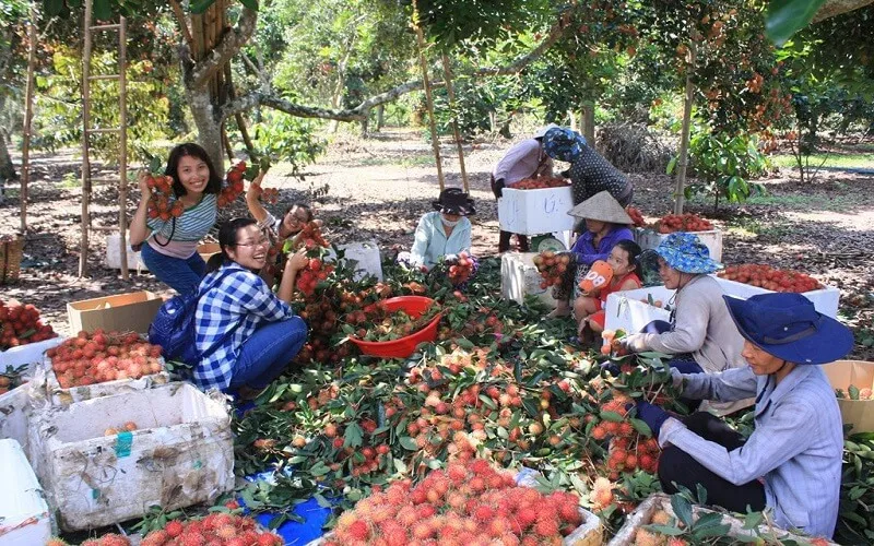 Đặc sản Bình Dương: Top 15 đặc sản ngon nên thử và mua làm quà