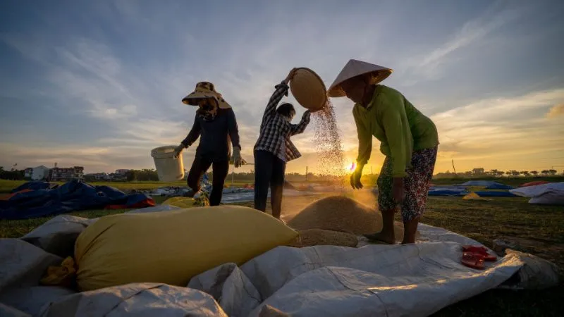 Đặc sản Thái Bình: Top 15 đặc sản ngon nên thử và mua làm quà