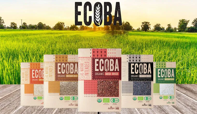 Gạo Ecoba có những loại nào?