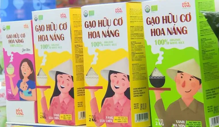 Gạo hữu cơ Hoa Nắng có gì đặc biệt? cùng Bách hoá XANH tìm hiểu nhé!