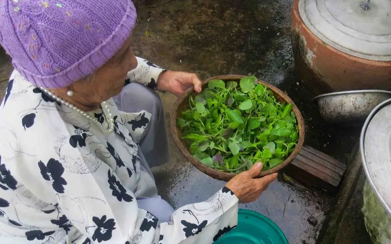 Học ngay cách vẩy rau sống ‘thần sầu’, người vụng cũng làm được