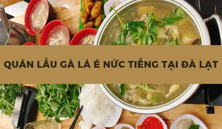 Khám phá 5 quán lẩu gà lá é ngon nức tiếng tại Đà lạt