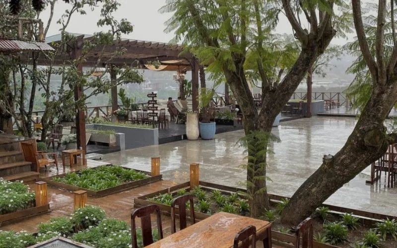 List 7 quán cà phê cúc hoạ mi cực thơ tại Đà Lạt cho hội ‘sống ảo’