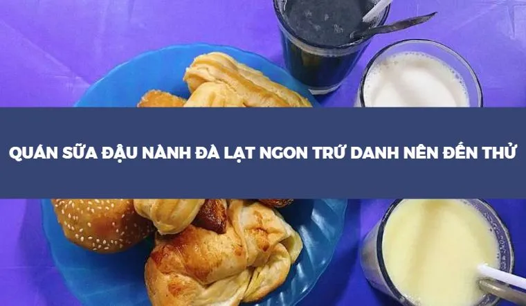 Lưu ngay 8 quán sữa đậu nành Đà lạt ngon trứ danh nên đến thử