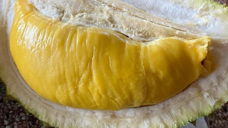 Sầu riêng musang king là gì? Cách chọn sầu riêng musang king ngon