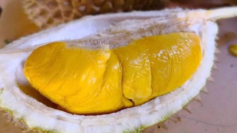 Sầu riêng musang king là gì? Cách chọn sầu riêng musang king ngon