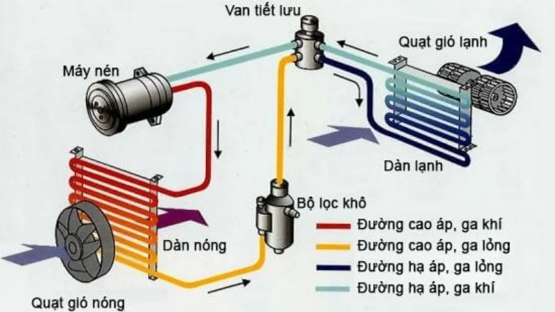 Sấy lạnh là gì? Nguyên lý hoạt động của tủ sấy lạnh