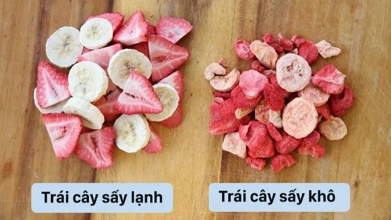 Sấy lạnh là gì? Nguyên lý hoạt động của tủ sấy lạnh