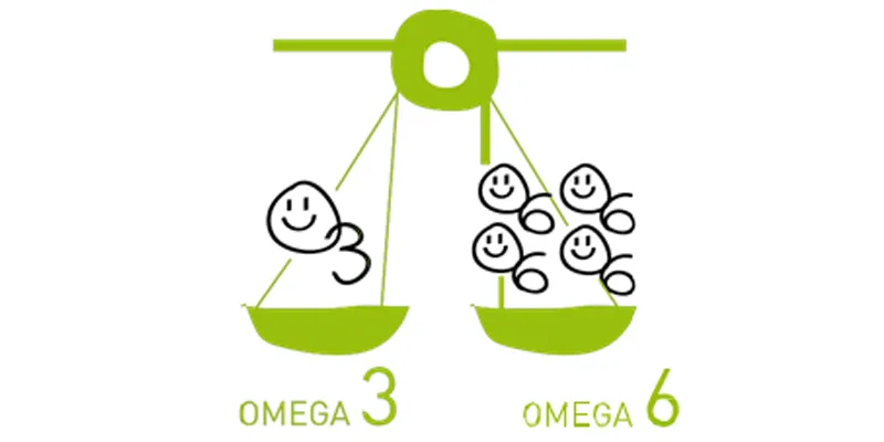 Tỷ lệ Omega 6/Omega 3 có ý nghĩa gì?