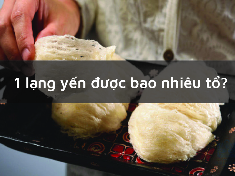 1 lạng yến được bao nhiêu tổ? 1 lạng (100gr) bao nhiêu tiền?