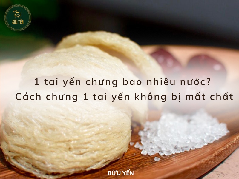 1 tai yến chưng bao nhiêu nước? Cách chưng 1 tai yến không bị mất chất