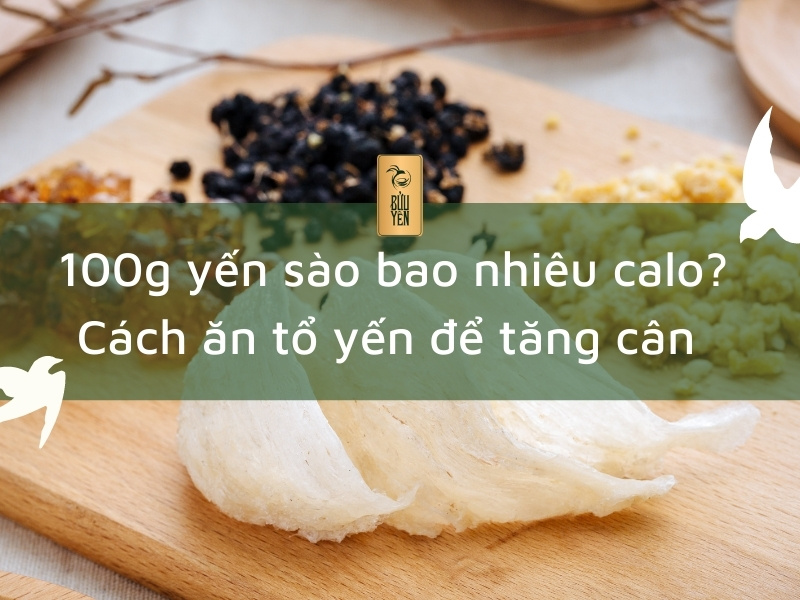 100g yến sào bao nhiêu calo? Cách ăn tổ yến để tăng cân