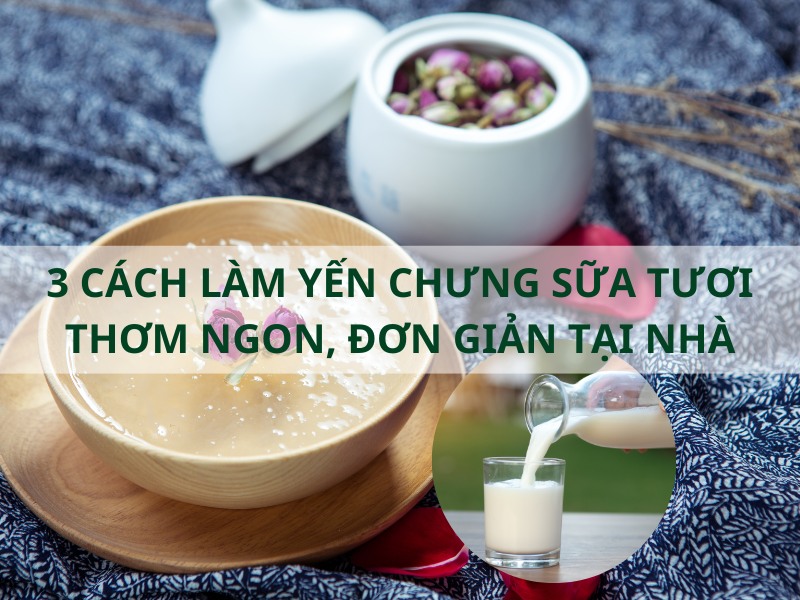 3 Cách làm yến chưng sữa tươi thơm ngon, đơn giản tại nhà