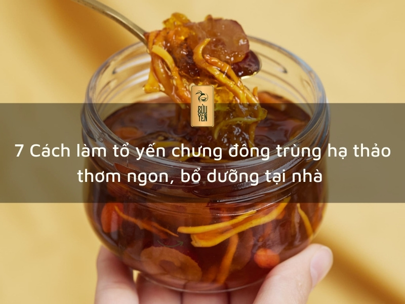 7 Cách làm tổ yến chưng đông trùng hạ thảo thơm ngon, bổ dưỡng