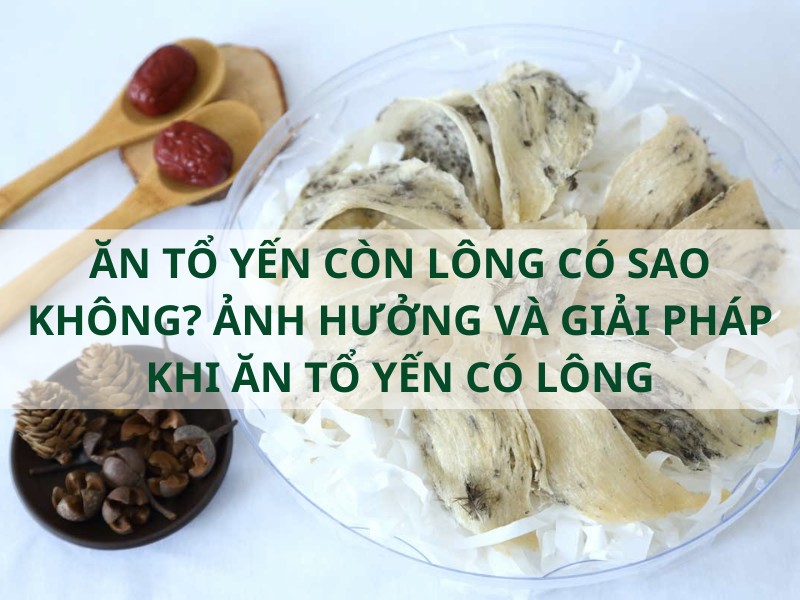 Ăn tổ yến còn lông có sao không? Giải pháp khi ăn tổ yến có lông