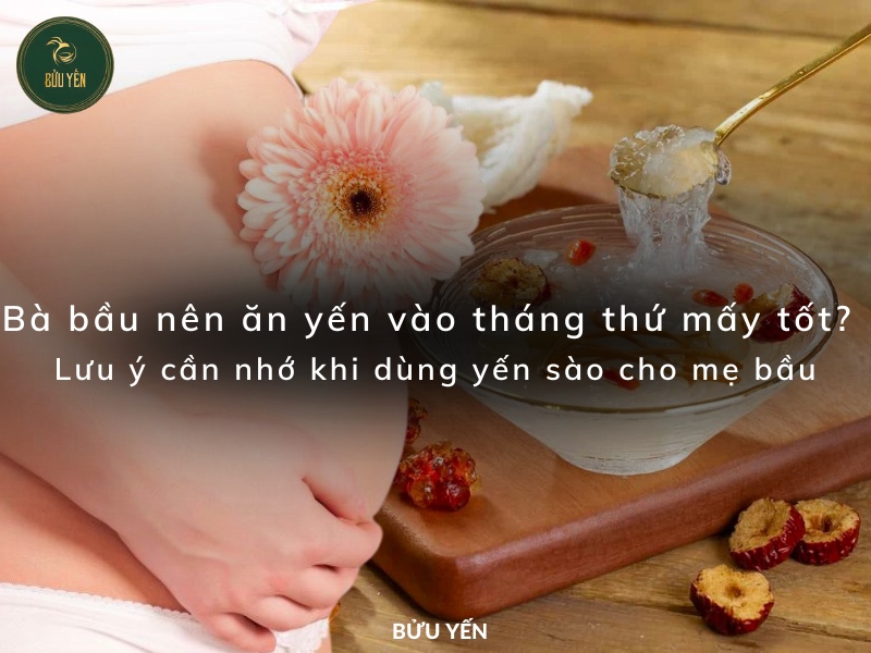 Bà bầu nên ăn yến vào tháng thứ mấy tốt? Lưu ý cần nhớ