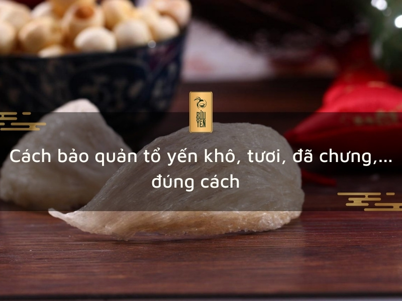 Cách bảo quản tổ yến khô, yến tươi đúng cách