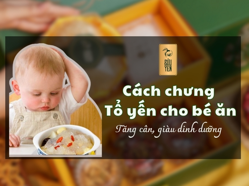 Cách chưng tổ yến cho bé ăn tăng cân, giàu dinh dưỡng 