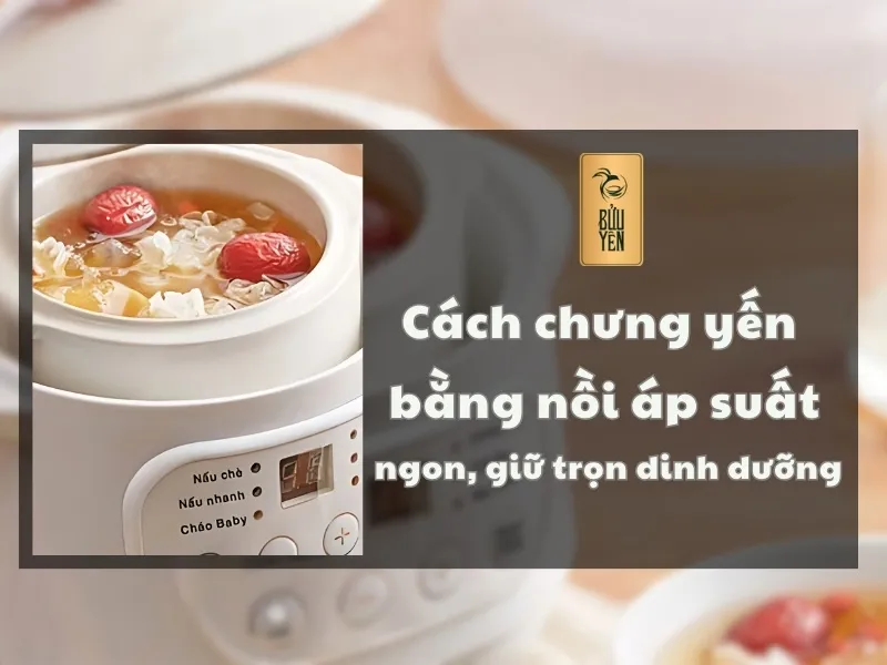 Cách chưng yến bằng nồi áp suất ngon, giữ trọn dinh dưỡng