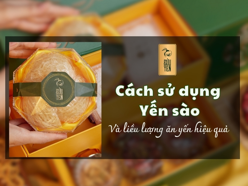 Cách sử dụng yến sào và liều lượng ăn yến hiệu quả