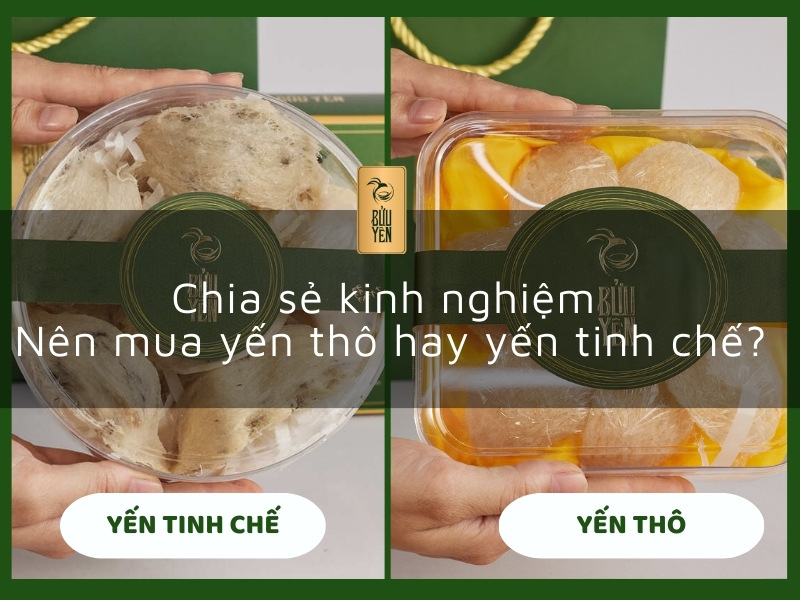 Chia sẻ kinh nghiệm nên mua yến thô hay yến tinh chế?