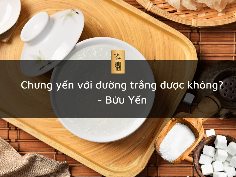 Chưng yến với đường trắng được không? – Bửu Yến