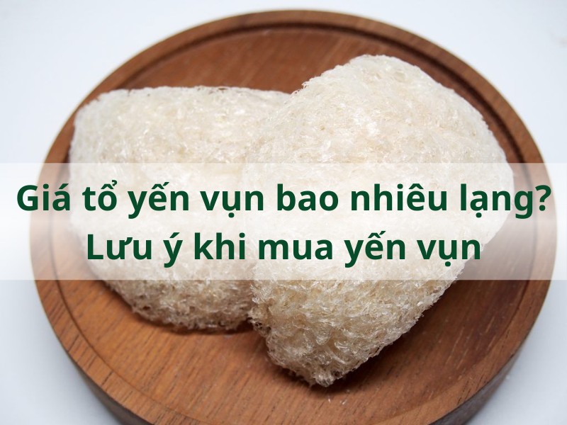 Giá tổ yến vụn bao nhiêu lạng? Lưu ý khi mua yến vụn