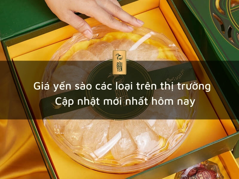 Giá yến sào các loại trên thị trường – Cập nhật mới 2024