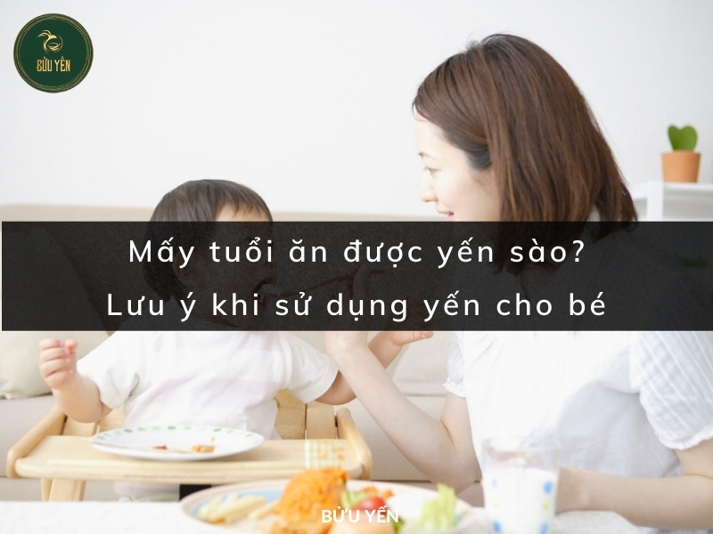 Mấy tuổi ăn được yến sào? Lưu ý khi sử dụng yến cho bé