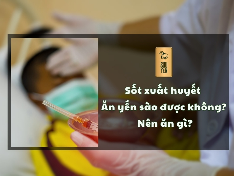 Sốt xuất huyết ăn yến sào được không? Nên ăn gì?