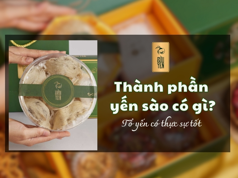 Thành phần yến sào có gì? Tổ yến có thực sự tốt