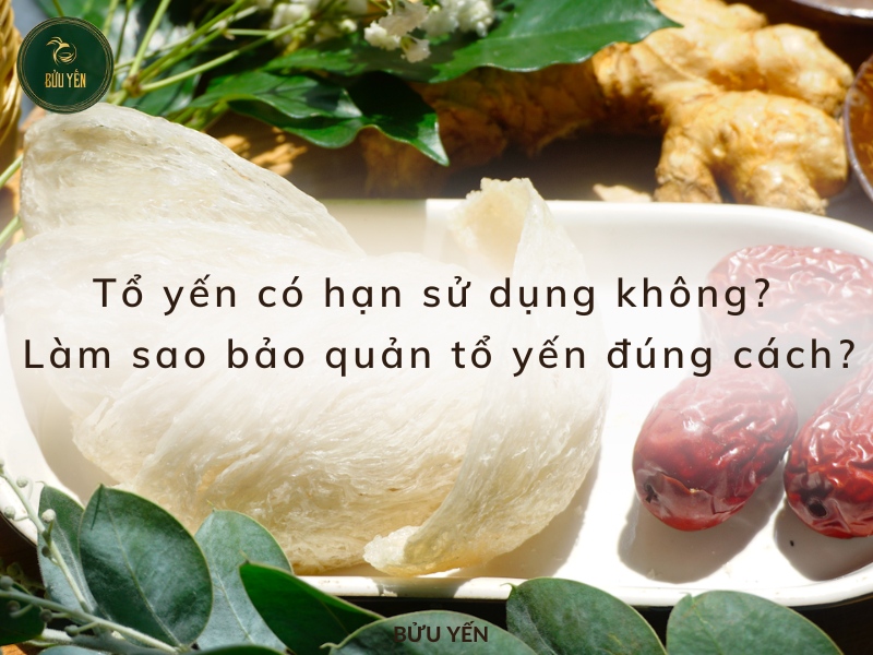 Tổ yến có hạn sử dụng không? Cách bảo quản yến chuẩn đúng cách