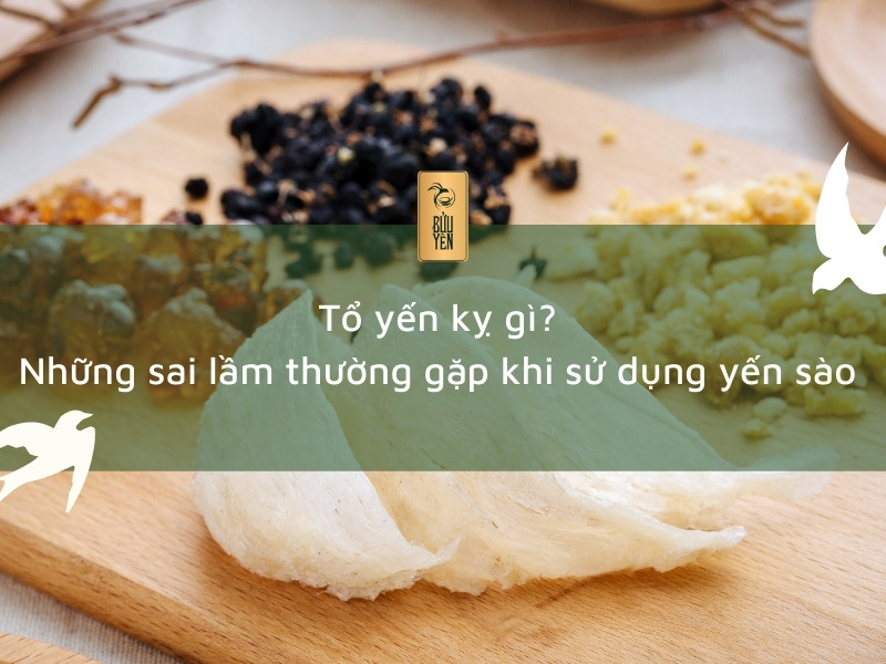 Tổ yến kỵ gì? Những sai lầm thường gặp khi sử dụng yến sào