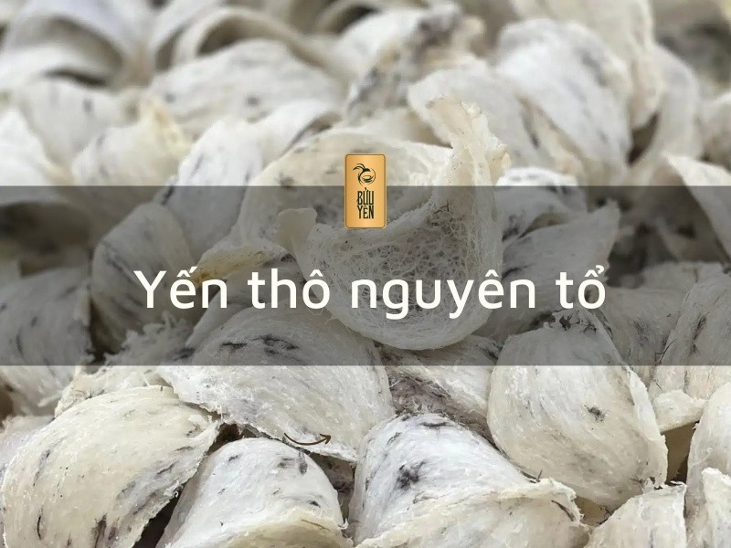 Tổ yến thô giá bao nhiêu? Phân loại và công dụng