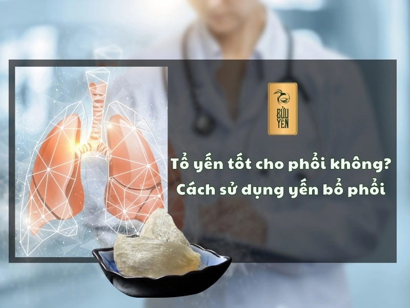 Tổ yến tốt cho phổi không? Cách sử dụng yến bổ phổi đúng