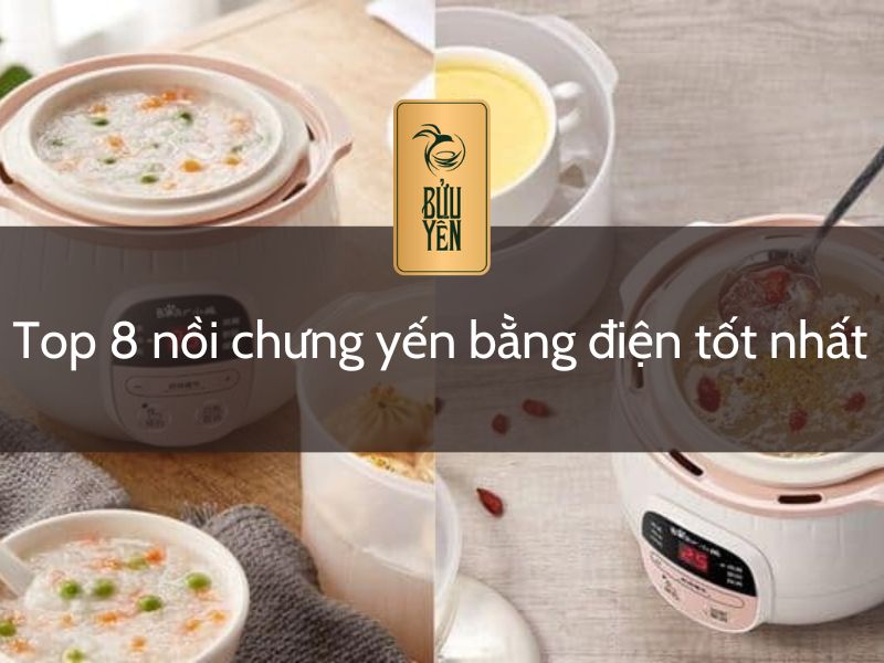 Top 8 nồi chưng yến bằng điện tốt nhất 2024